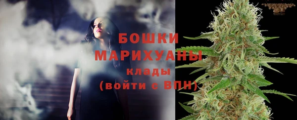 PSILOCYBIN Баксан