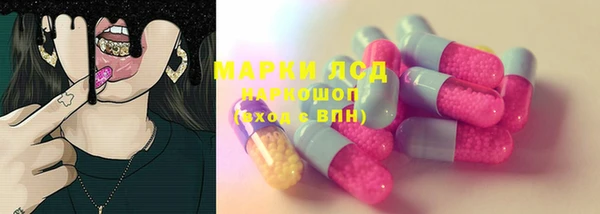 PSILOCYBIN Баксан