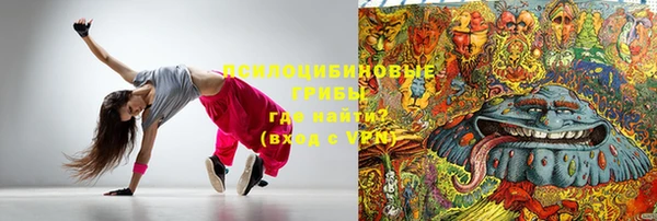 PSILOCYBIN Армянск